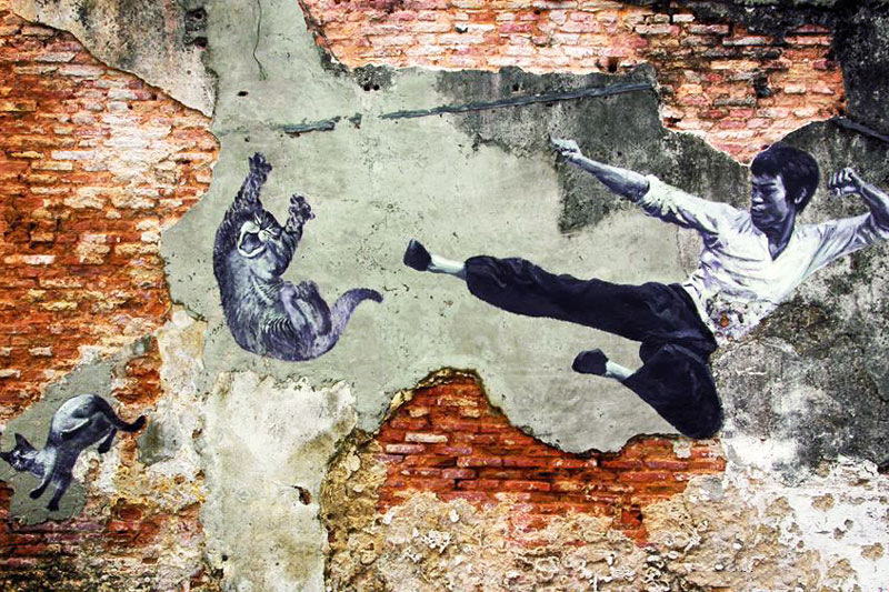 nhung cu da bat hu