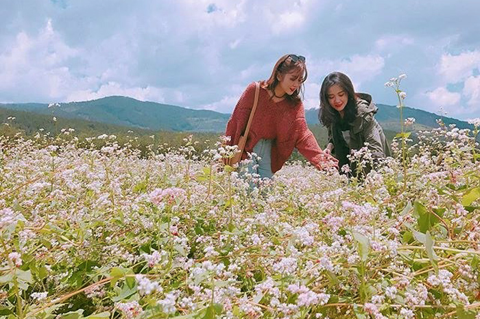 "Say nắng" 3 mùa hoa đẹp nhất trong tháng 10, 11 tại Đà Lạt