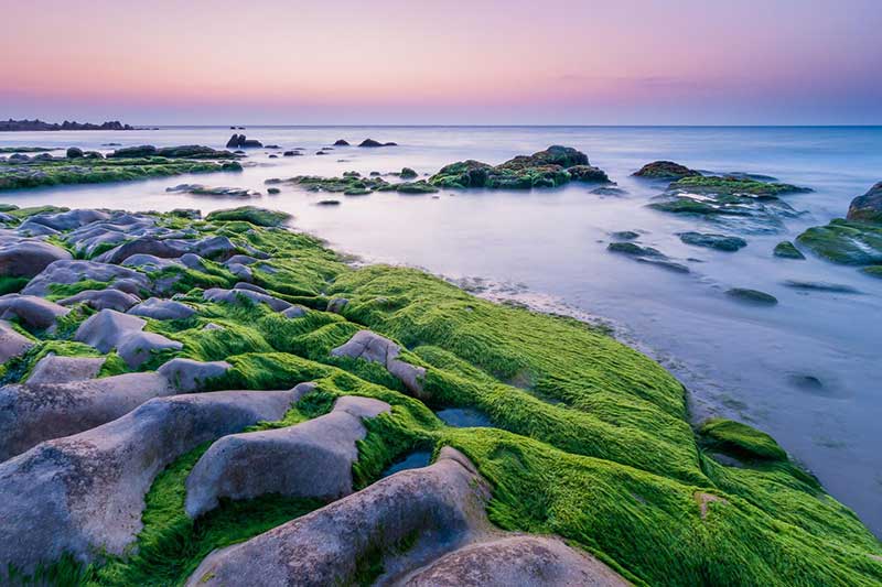 bai bien co thach hoang so va dac biet