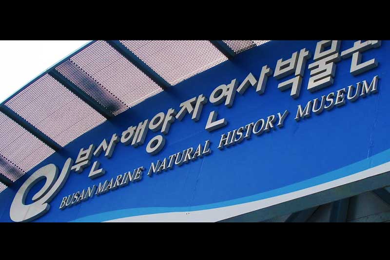 bao-tang-lich-su-hai-duong-busan