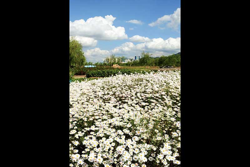 samrak-ecological-park