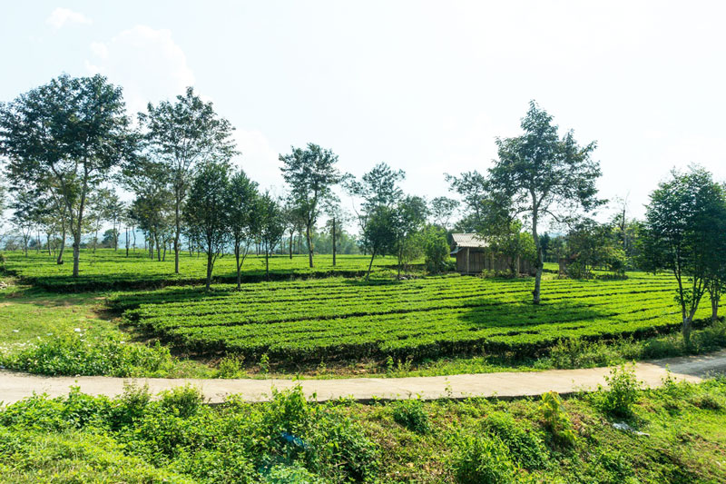 vuon quoc gia vu quang