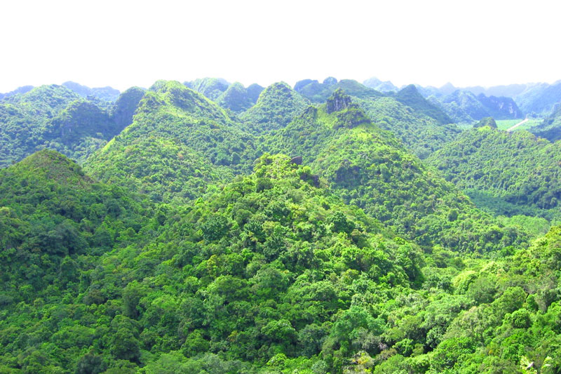 vuon quoc gia vu quang