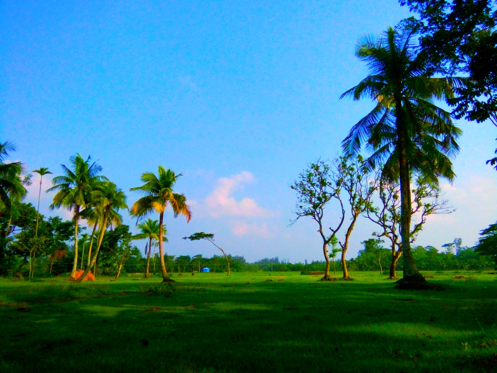 noakhali