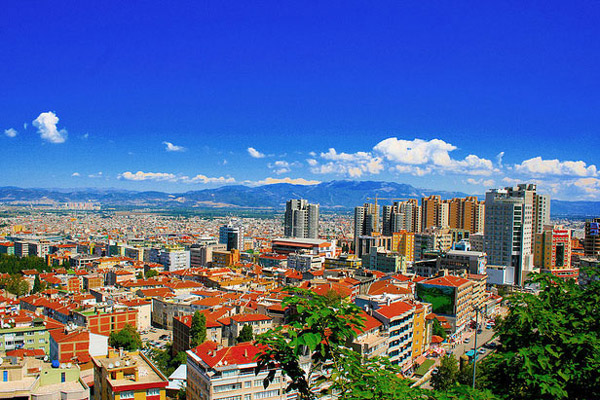 Bursa