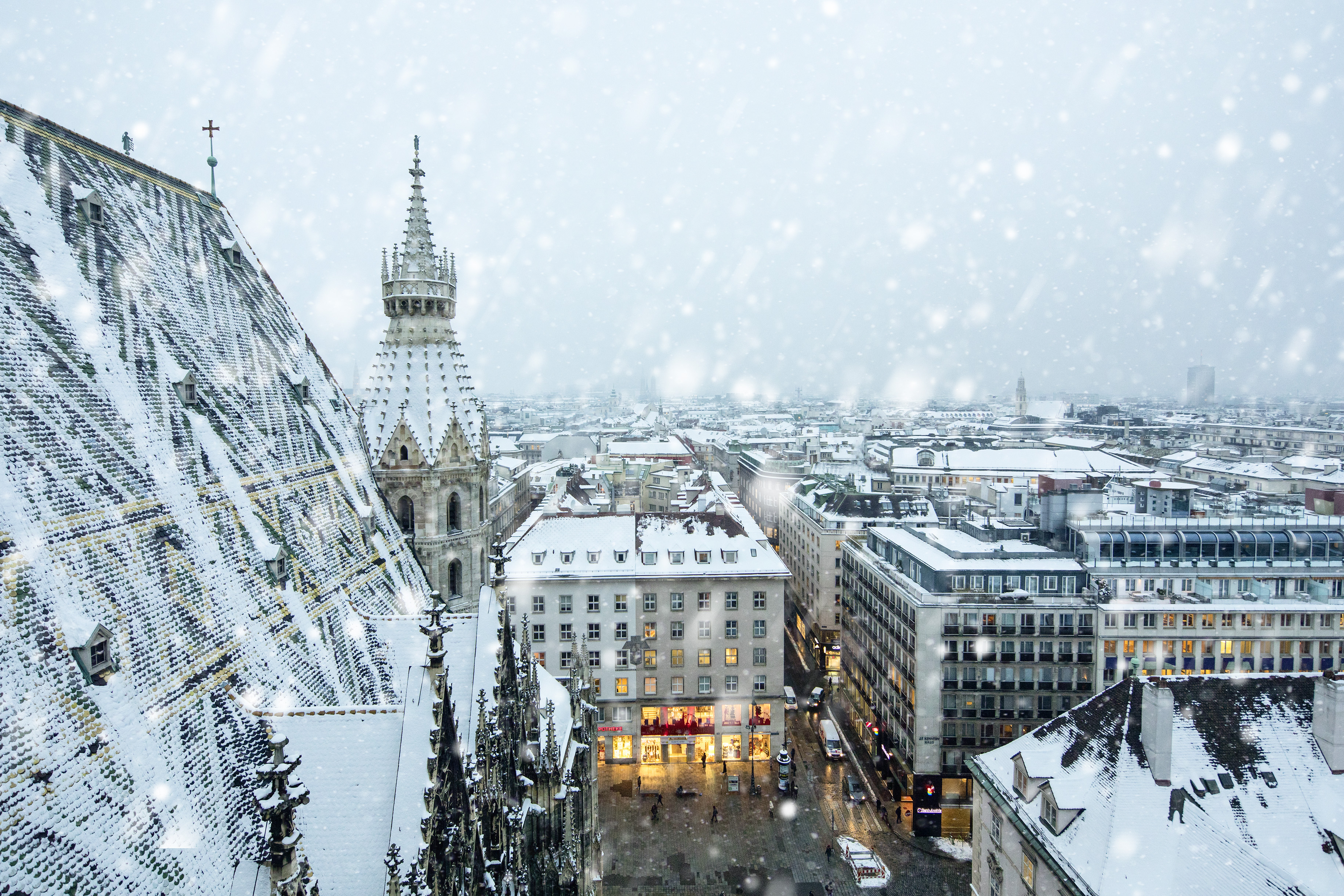 vienna