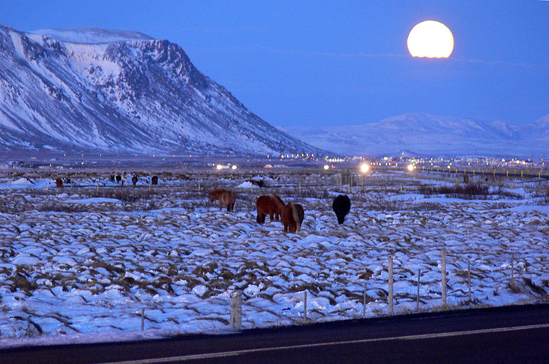 selfoss