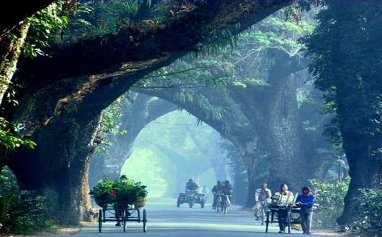 jessore