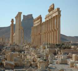 Palmyra
