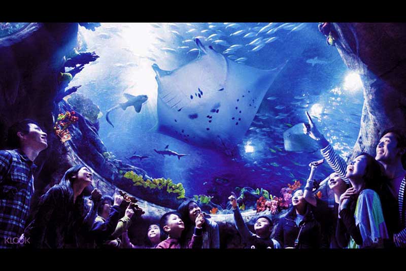 ocean-park-hong-kong