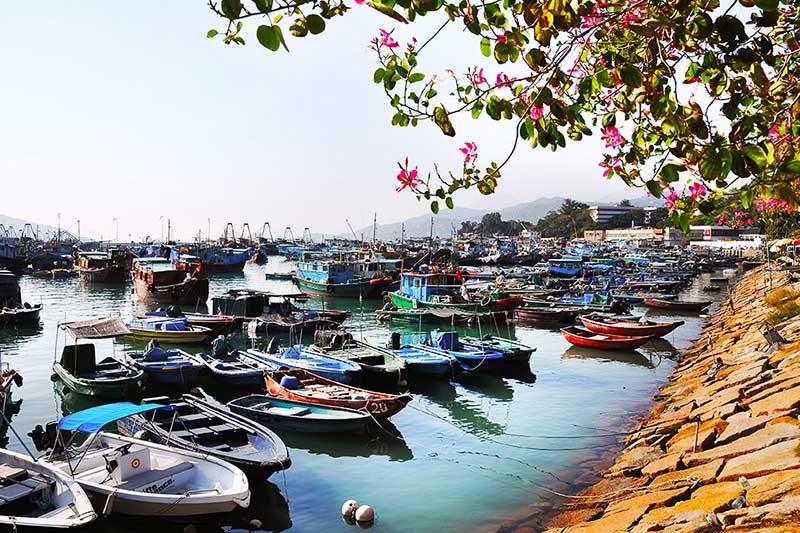 dao-cheung-chau-hong-kong-gody