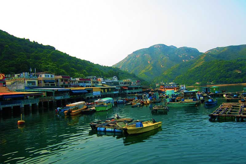 dao-lamma-hong-kong