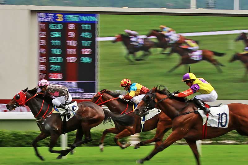 truong-dua-ngua-happy-valley