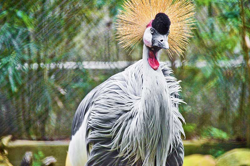 cong-vien-thien-nhien-hong-kong