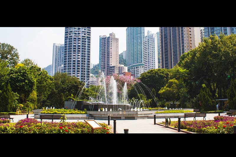 vuon-bach-thu-hong-kong