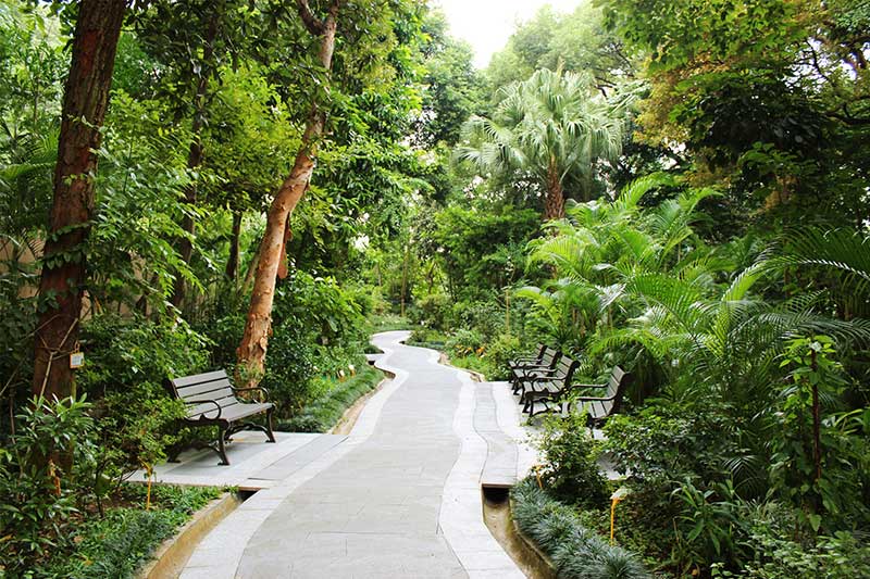 cong-vien-thien-nhien-hong-kong