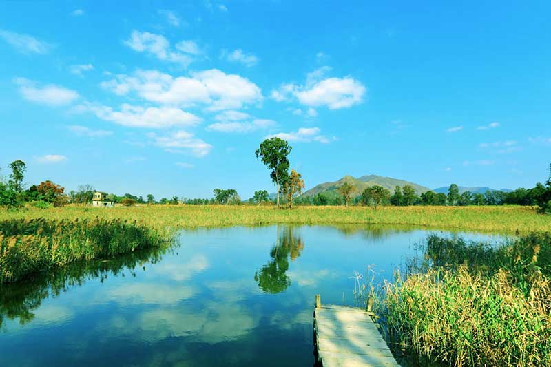 khu-bao-ton-dam-lay-hong-kong