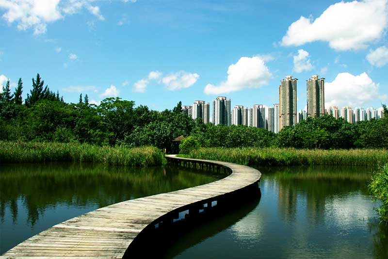 khu-bao-ton-dam-lay-hong-kong