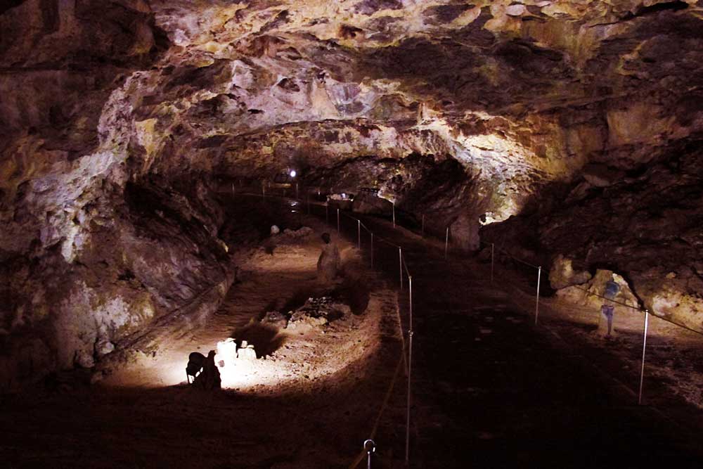 cong-vien-hallim-jeju