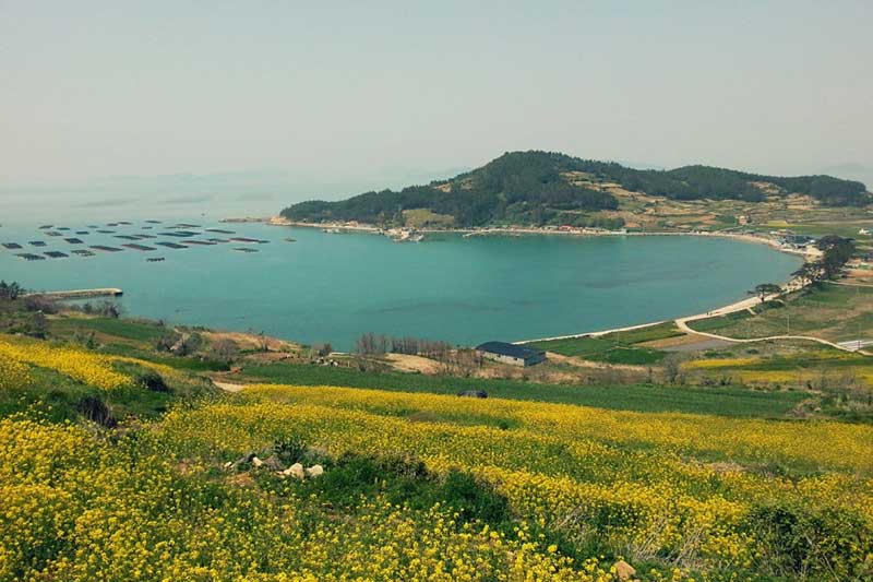 se la ky niem dang nho