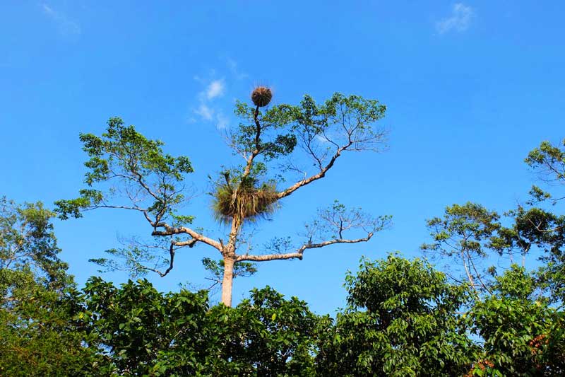 nui gunung raya langkawi