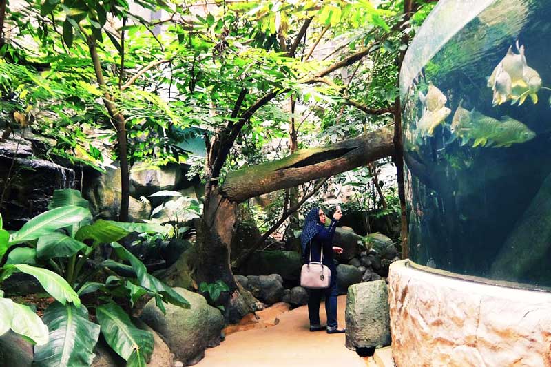 the gioi nuoc langkawi