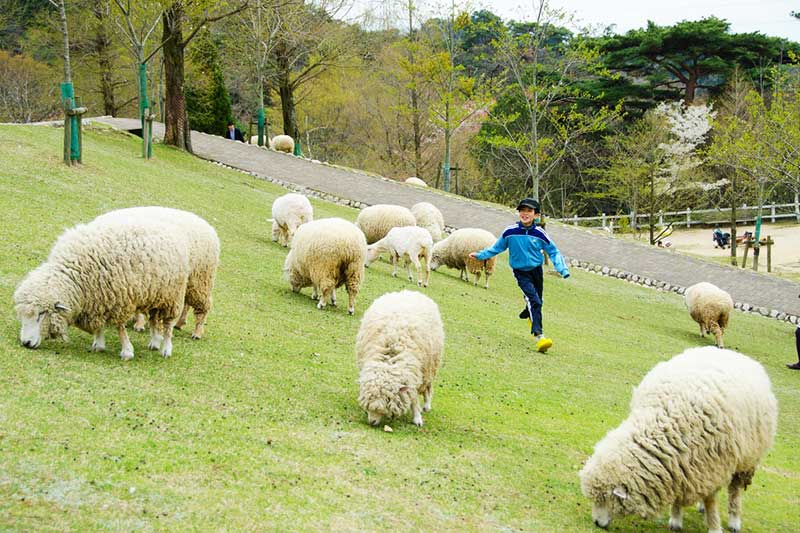 tre em no dua cung cuu