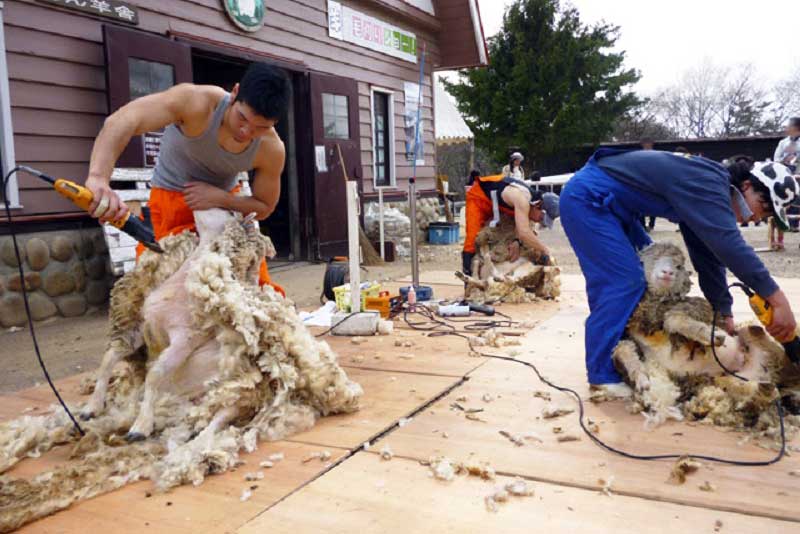 mot man lot lop long cuu