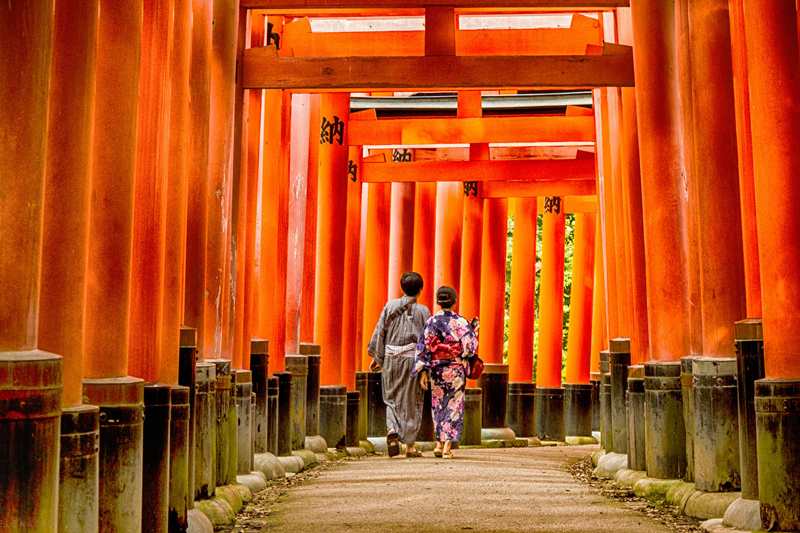 Cổng đền Fushimi Inari-taisha Shrine Kyoto, Nhật Bản