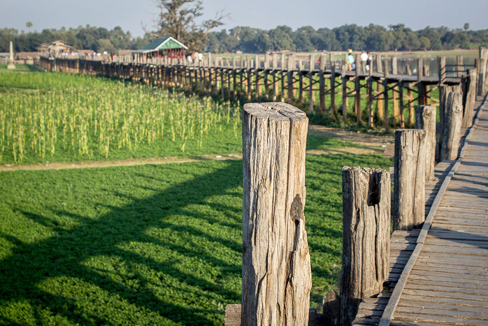 nhung bai ngo xanh duoi chan  cau