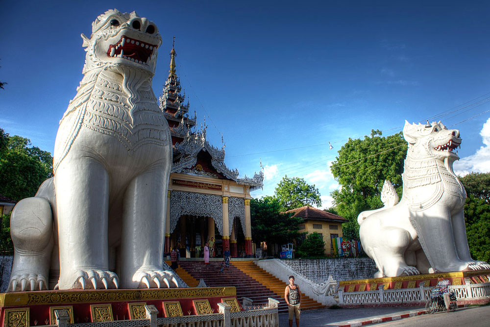 voi cong len la hinh hai su tu