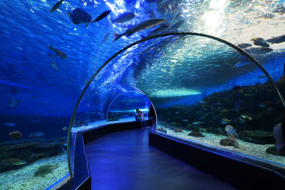 manila-ocean-park