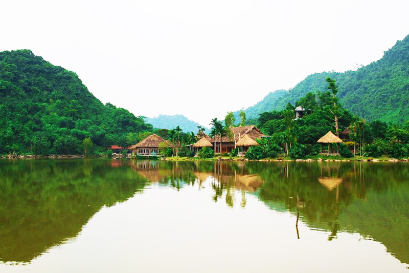 vuon chim thung nham