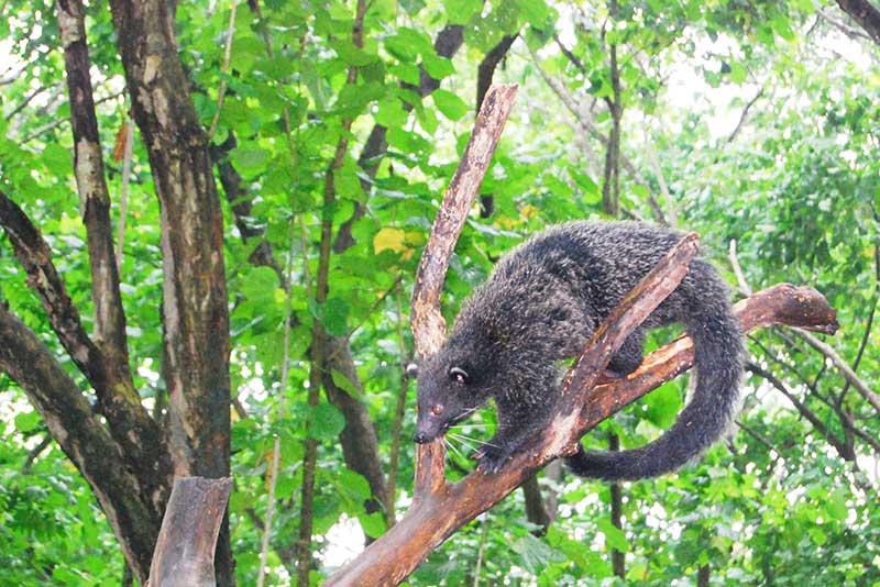 trung tam bao ton dong vat