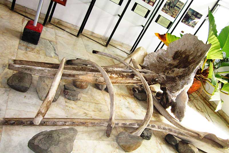 trung tam bao ton dong vat