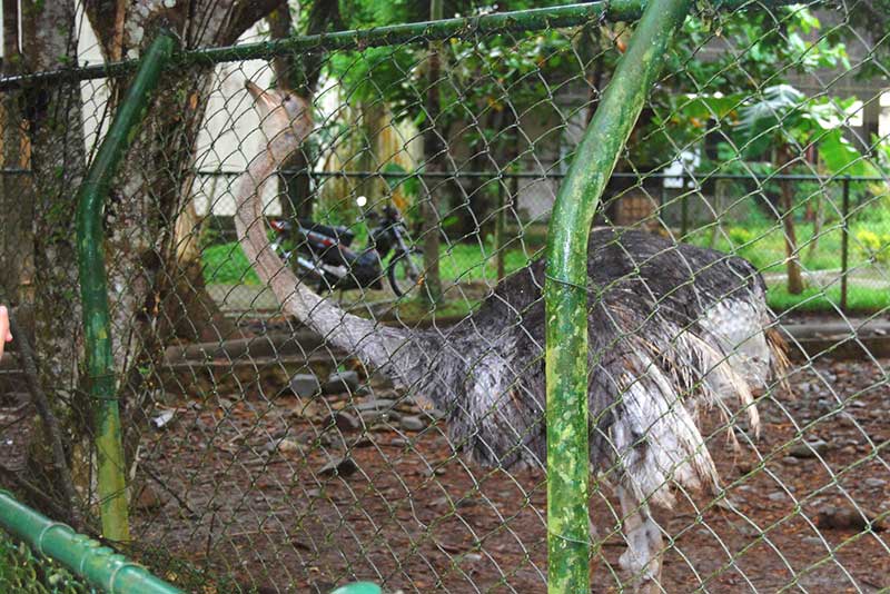 khu bao ton dong vat hoang da