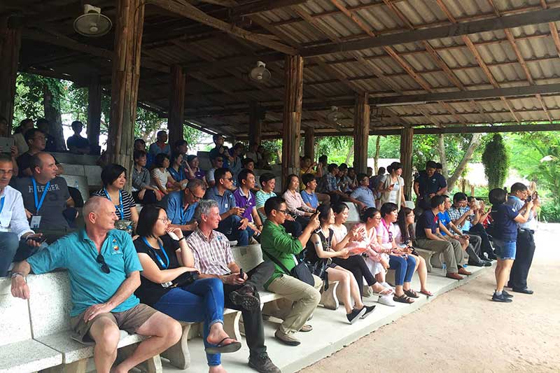 su thich thu cua nguoi xem