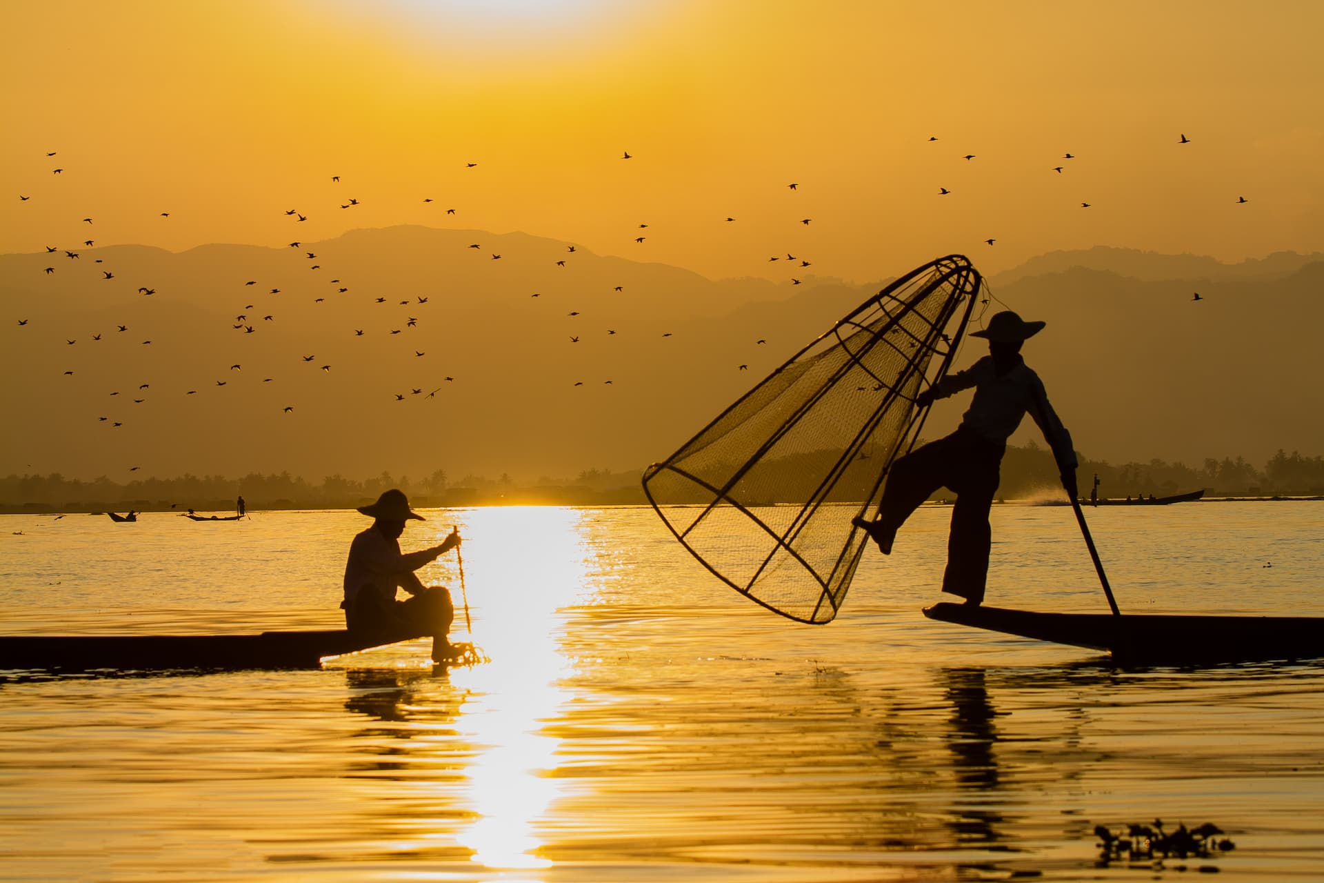 nhung dan chim tung bay tren bau troi vao nhung chieu ta
