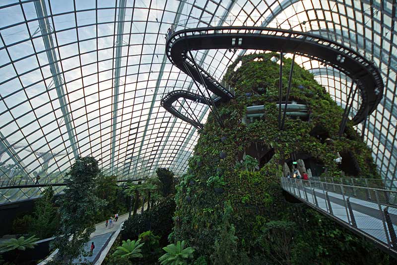 Cloud Forest ở Gardens by the bay