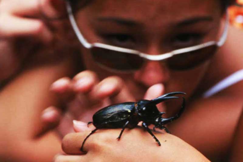 vuong-quoc-con-trung-sentosa-singapore