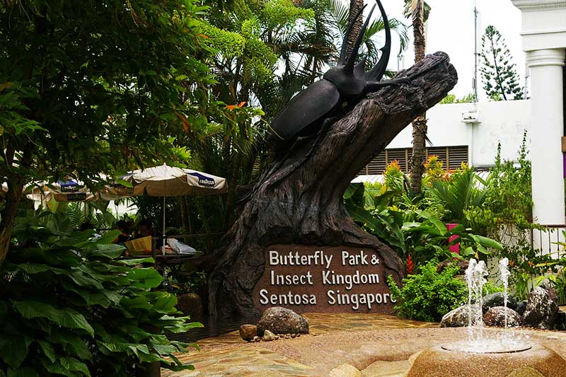 vuong-quoc-con-trung-sentosa-singapore