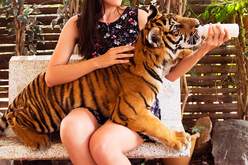 trai-ho-thuy-cung-ko-samui