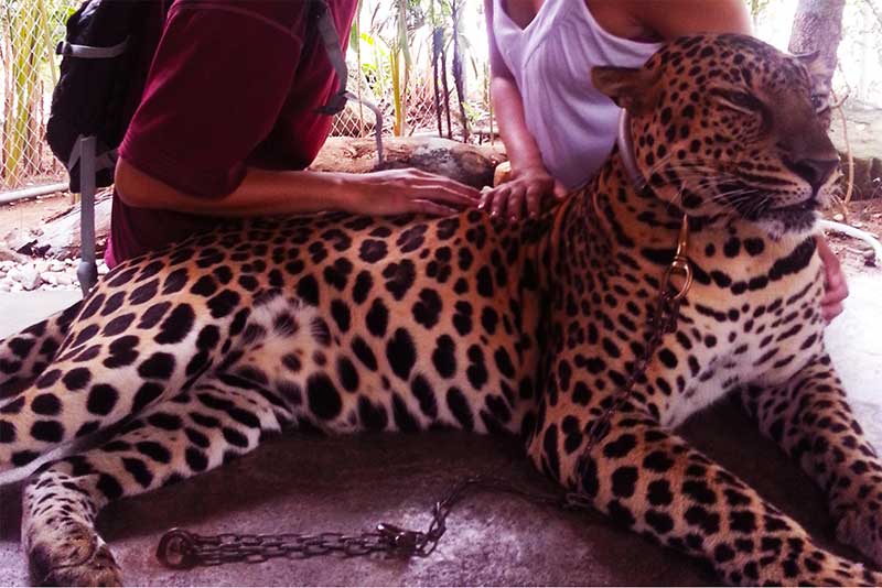 trai-ho-thuy-cung-ko-samui