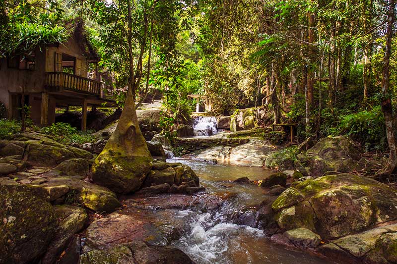 vuon-phat-an-ko-samui