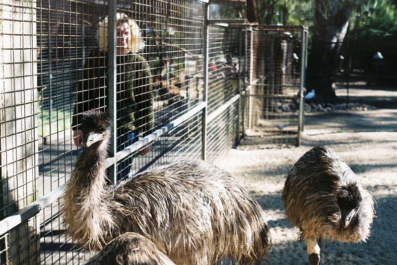cong vien dong vat hoang da