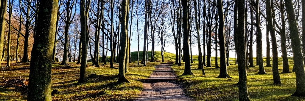 Đồi Lindholm (Lindholm Hill)