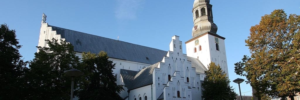 Nhà thờ Budolfi (Budolfi Church)