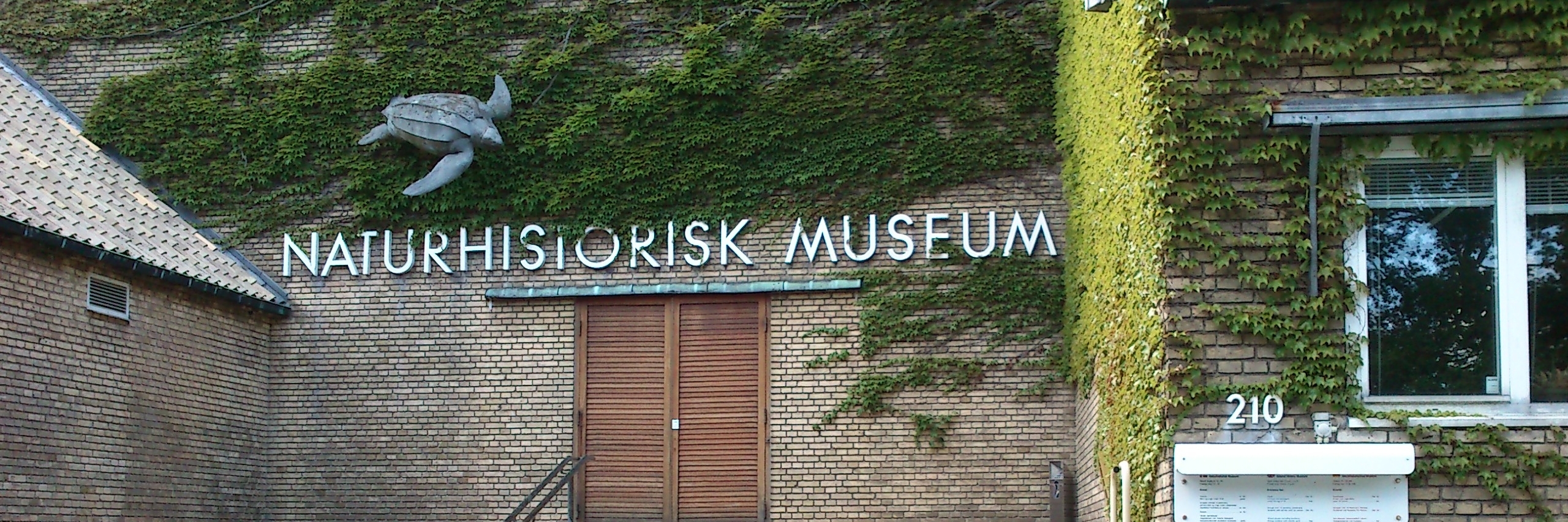 Bảo tàng lịch sử thiên nhiên (Natural History Museum)