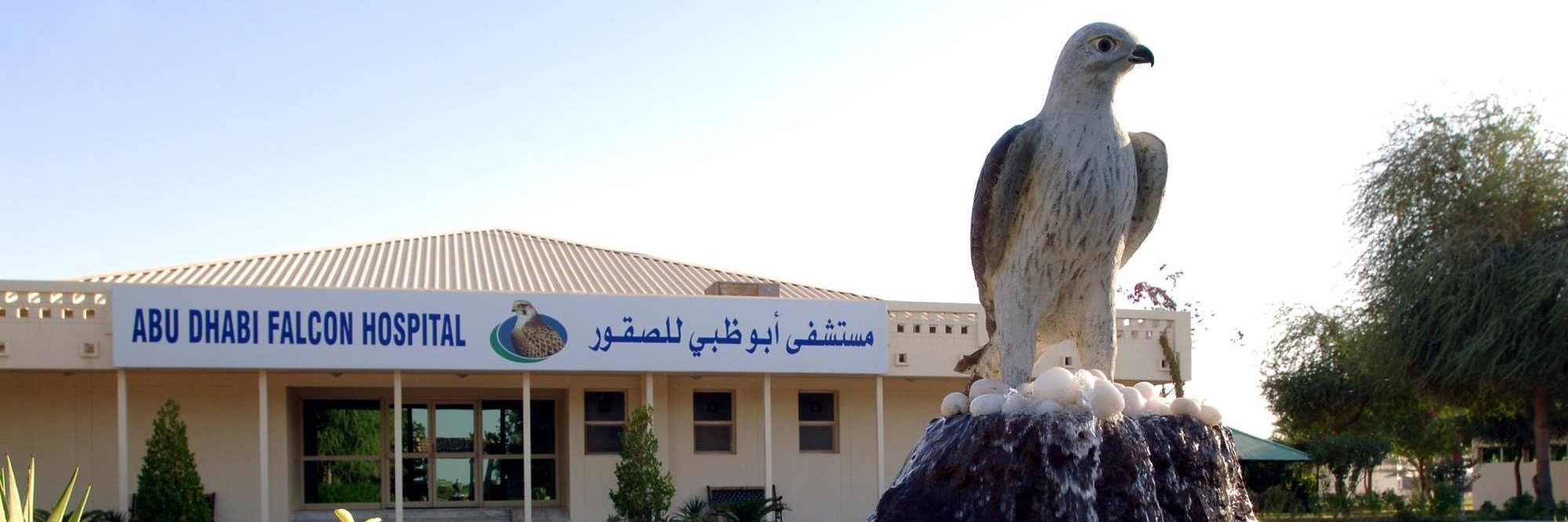 Bệnh viện Abu Dhabi Falcon (Abu Dhabi Falcon Hospital)