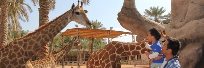 Sở thú Công viên Emirates ( Emirates Park Zoo)